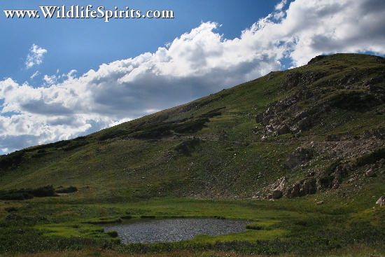 Click Picture to send as an  E-PostCard 62k 550x367